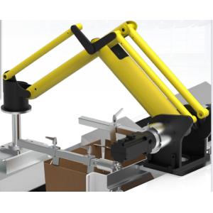 WZ-10 10Kg Palletizing Robot Brands Robot Maintains in Harsh Environments