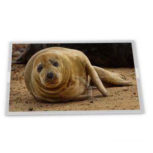  High Resolution 8.4-Inch stock Compatible WLED LCD Display Module 640*480 ODM AA084VD02 Modules Manufactures