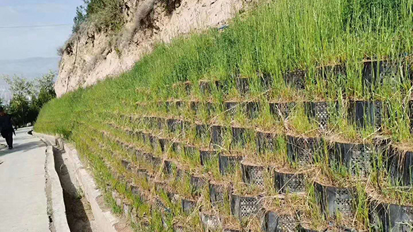 Green Geocell Gravel Grid for Parking Lot Soil Stabilization and Driveway Construction