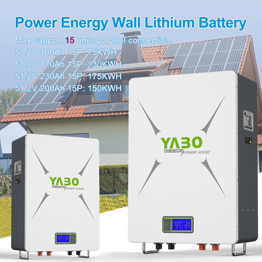 10kwh 51.2 V 200ah Lifepo4 Lithium Battery Pack 48v Powerwall Diy