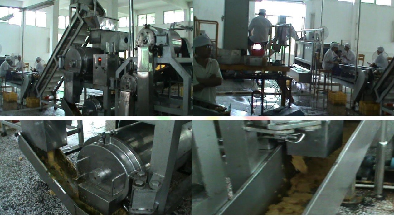 220V / 380V / 415V Mango Juice Processing Line 20 Ton/H With 1 Year Warranty