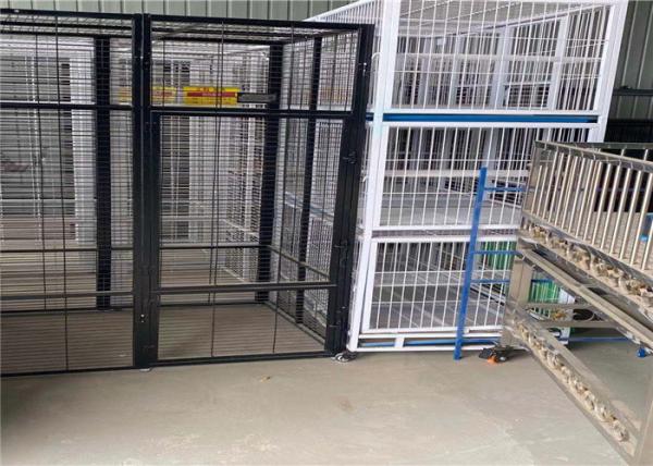 Canary parakeet pigeon quail parrot bird cage,bird cage metal,parrot breeding