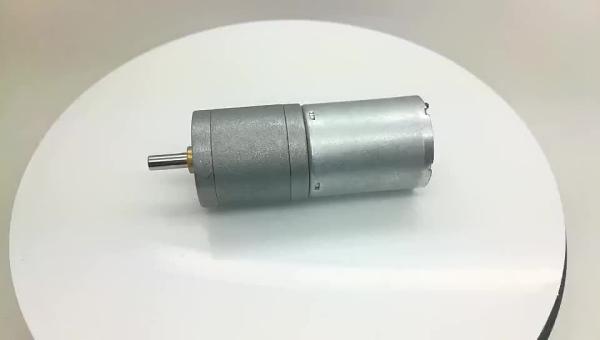 Mini diameter 25mm 24volt 80rpm 400 rpm electric gear motor with metal reduction