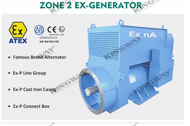 ATEX Zone II 3 Phase Diesel Generator Set 60KVA With DNV 2.7-1 Lifting Frame