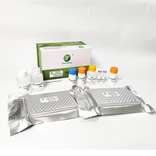 Avian Infectious Bronchitis Virus IBV Bird Flu Test Kit Antibody For Poultry 192 Wells/Kit