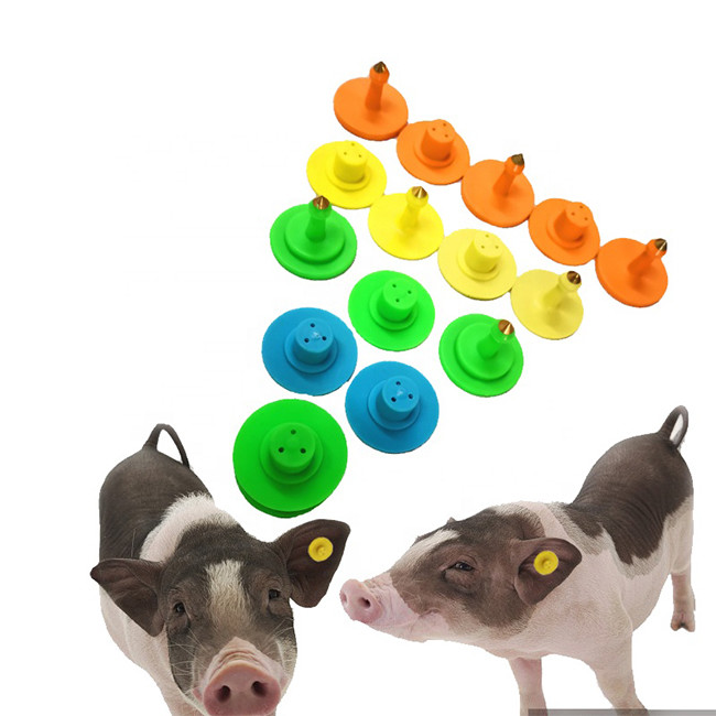 Yellow Identification Custom Ear Tags For Show Cattle