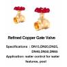Buy cheap SGS Swimming Pool Fountain Accessories 1 Inch Brass Gate Valve from wholesalers