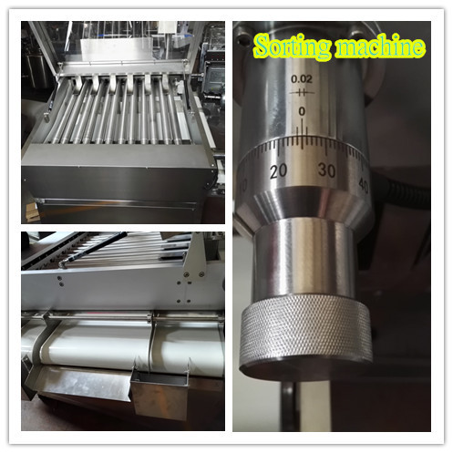 Capsule Sorting Machine With Precise Roller Distance & Conveyor Belt equipment