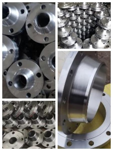Nickel Alloy Flanges UNS N10003 Forged Weld Neck Flange ANSI B16.5 SCH10S 300#