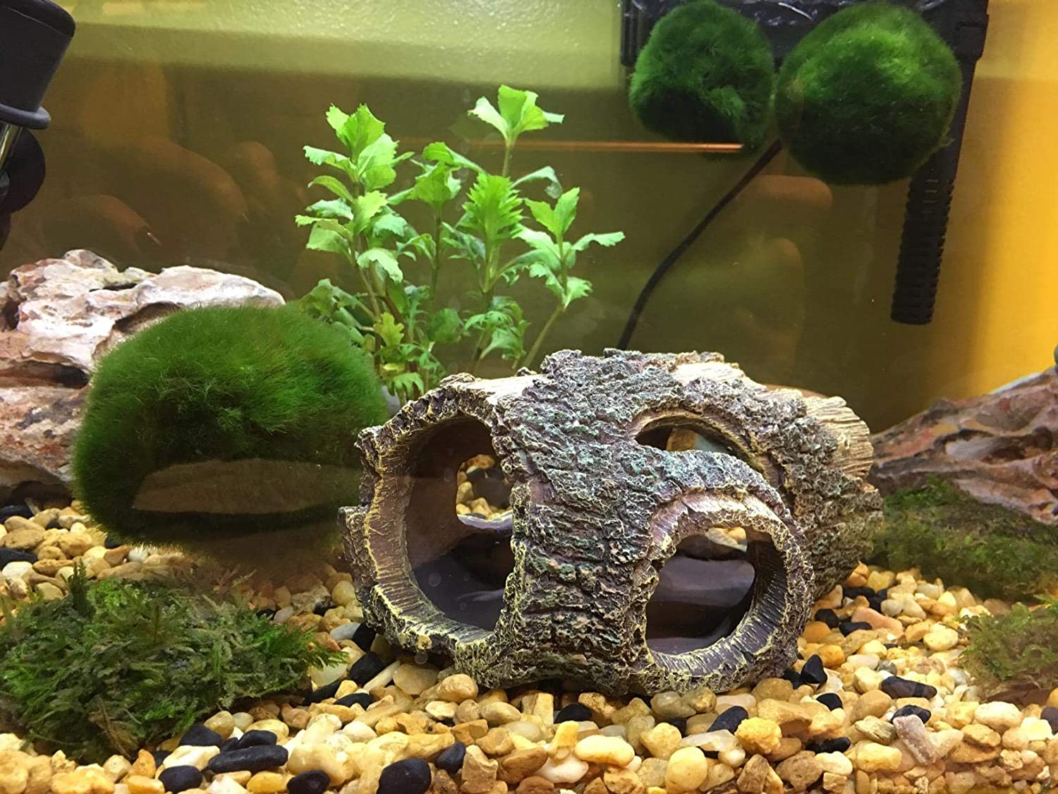 Landscape Trunk Fish Aquarium Ornaments