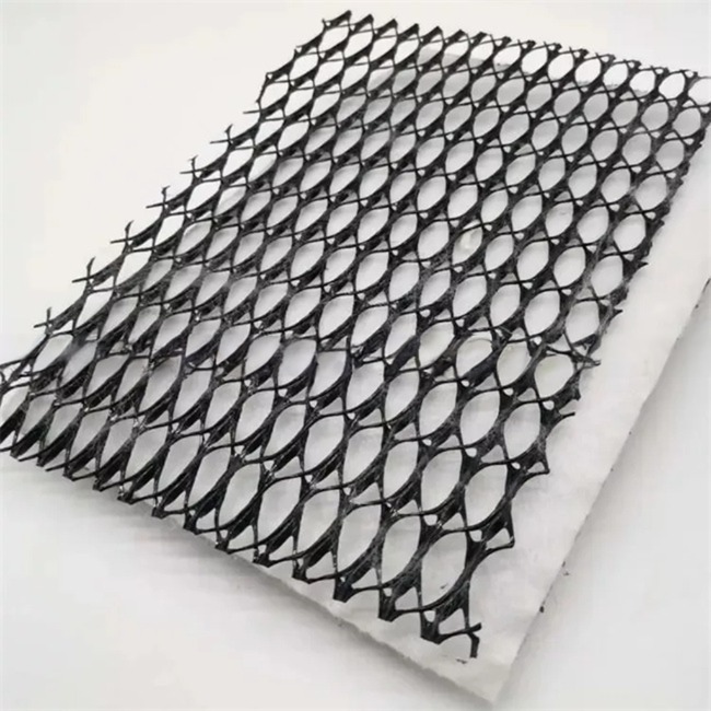 50m/100m Length HDPE Mesh 3D Composite Drainage Composite Geo Net in Black White