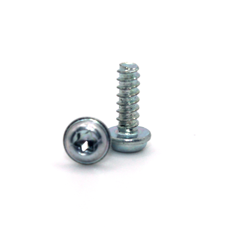Screw head type Pan Metric Zinc Plated Torx Head Self-Tapping Screw for Plastic