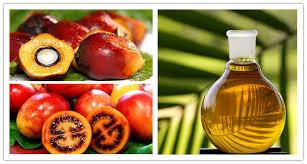 Industrial Olive Oil Palm oil Separation Decanting Centrifuge With Spiral Solid