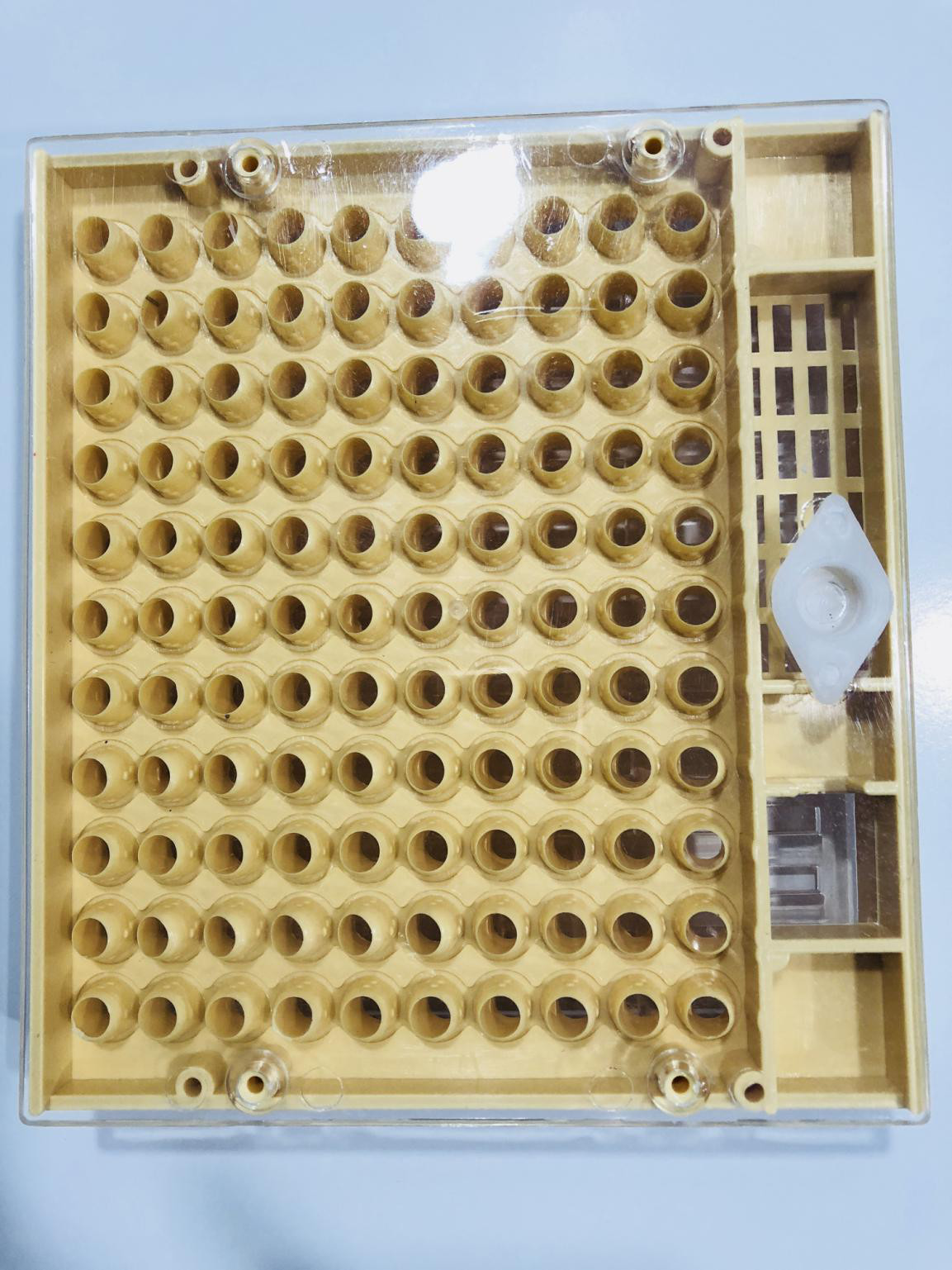 Queen Rearing Cupkit Box Queen Rearing System Cupularve For Beekeeping