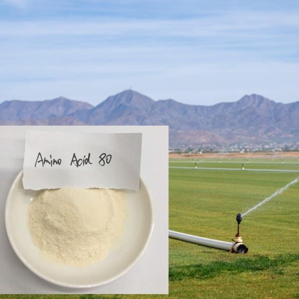 N16 Amino Acid Powder Organic Nitrogen Chlorine Free Agriculture Foliar