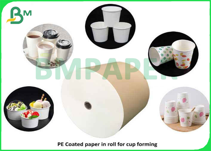 Cupstock paper