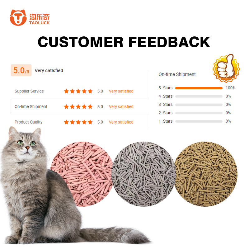 Factory price tofu cat litter supports free sample and packaging design, absorbs water and clumps within 3 seconds, can be directly flushed into the