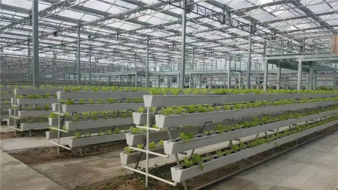Multi-Span Film Greenhouse Roll Up Motor with 60N/M Torque in Red Blue and Yellow
