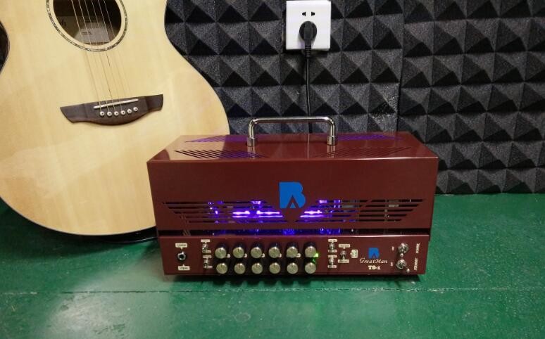 Rectifier Tube Guitar Amplifier Head 25W/10W with Jj Tubes Mesa Boogie Rectifier Style Metal Cabinet
