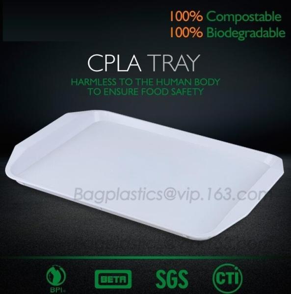 plastic tray, food tray, food container, Fast Food Tray biodegradable plastic 5