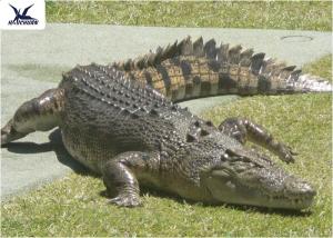  Water Park Simulation Life Size Animatronic Animal Realistic Crocodile Models Manufactures