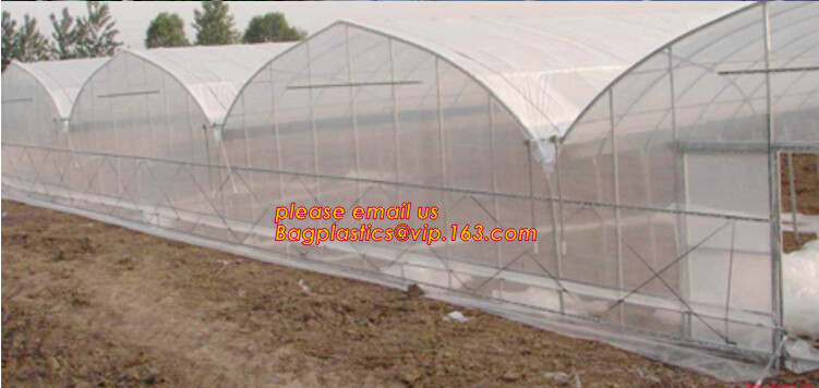 cheap and durable plastic colored anti mosquito netting/window insect screen,Industrial Agricultural Greenhouses use 2m