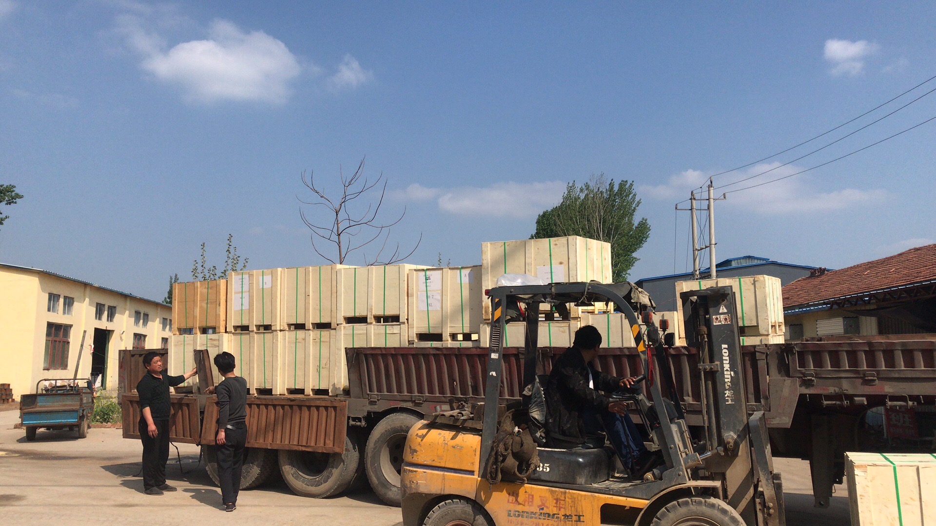 F-212355 Gearbox Bearings F-212355.02.RNN Full Complement Cylindrical Roller Bearing F-212355.02