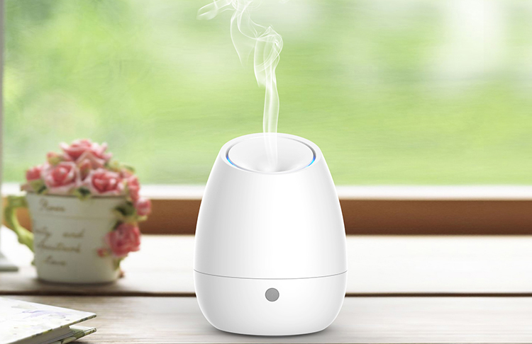 Home Appliance 100ml Ultrasonic Aroma Diffuser And Humidifier