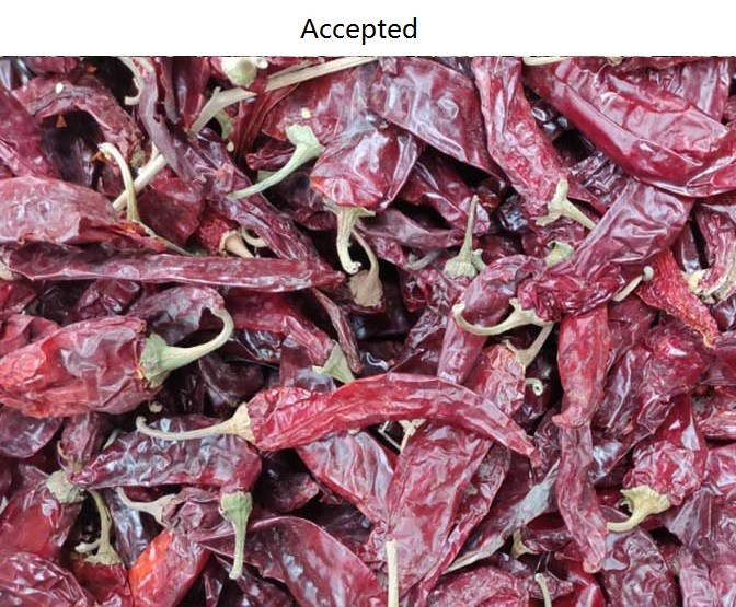 4.7kw Spice Sorting Machine