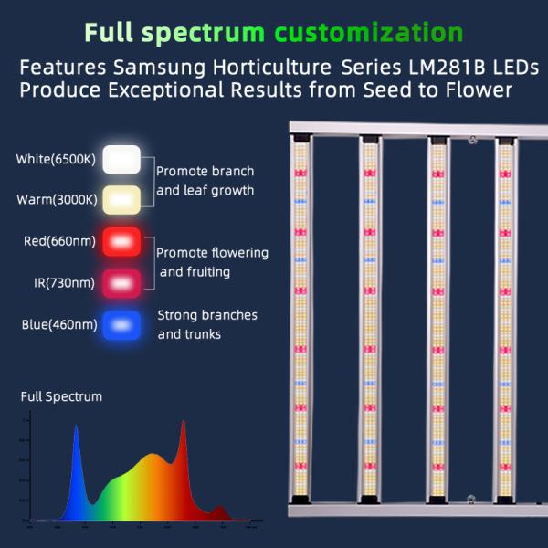 Customized Driver 100w LED Grow Light Panel for Vibrant and Robust Indoor Plant