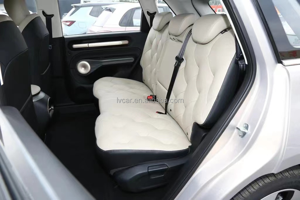 460km Range Pure Electric Vehicle with Front 6 Rear 6 Radar and Normal Cruise Control