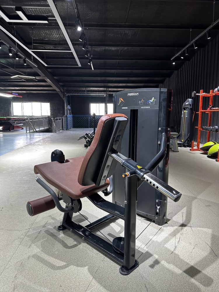 Custom Commercial Leg Exercise Equipment Pin Loaded And Plate Loaded Fitness