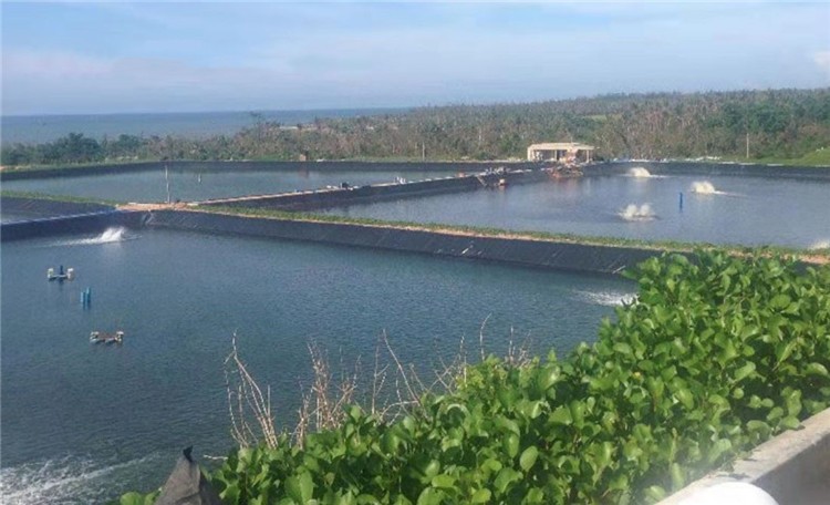 300 Micron 500 Micron 750 Micron Waterproof HDPE Geomembrane Pond Liner Reservoir Liner 100% Virgin