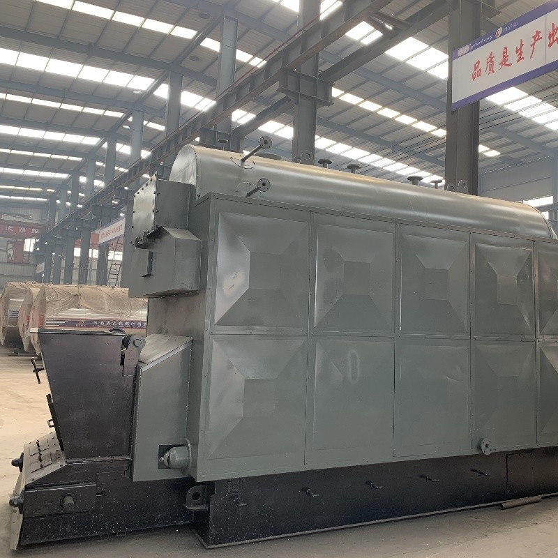Compact Structure Chain Grate Biomass Steam Boiler for Schools