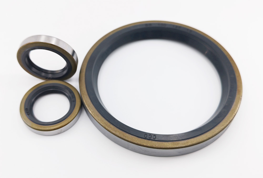 Rubber SB Oil Seal Hydraulic Double Lip Oil Seals Oil Resistant For Piston Rod Cylinder