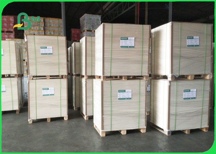 230gsm + 15g PE Coated Cup Paper For Hot Coffee Drink Strong Stiffness 790mm