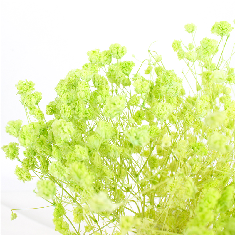 Customized Flower Decoration In Marriage , Preserved Gypsophila Wishing Bottle