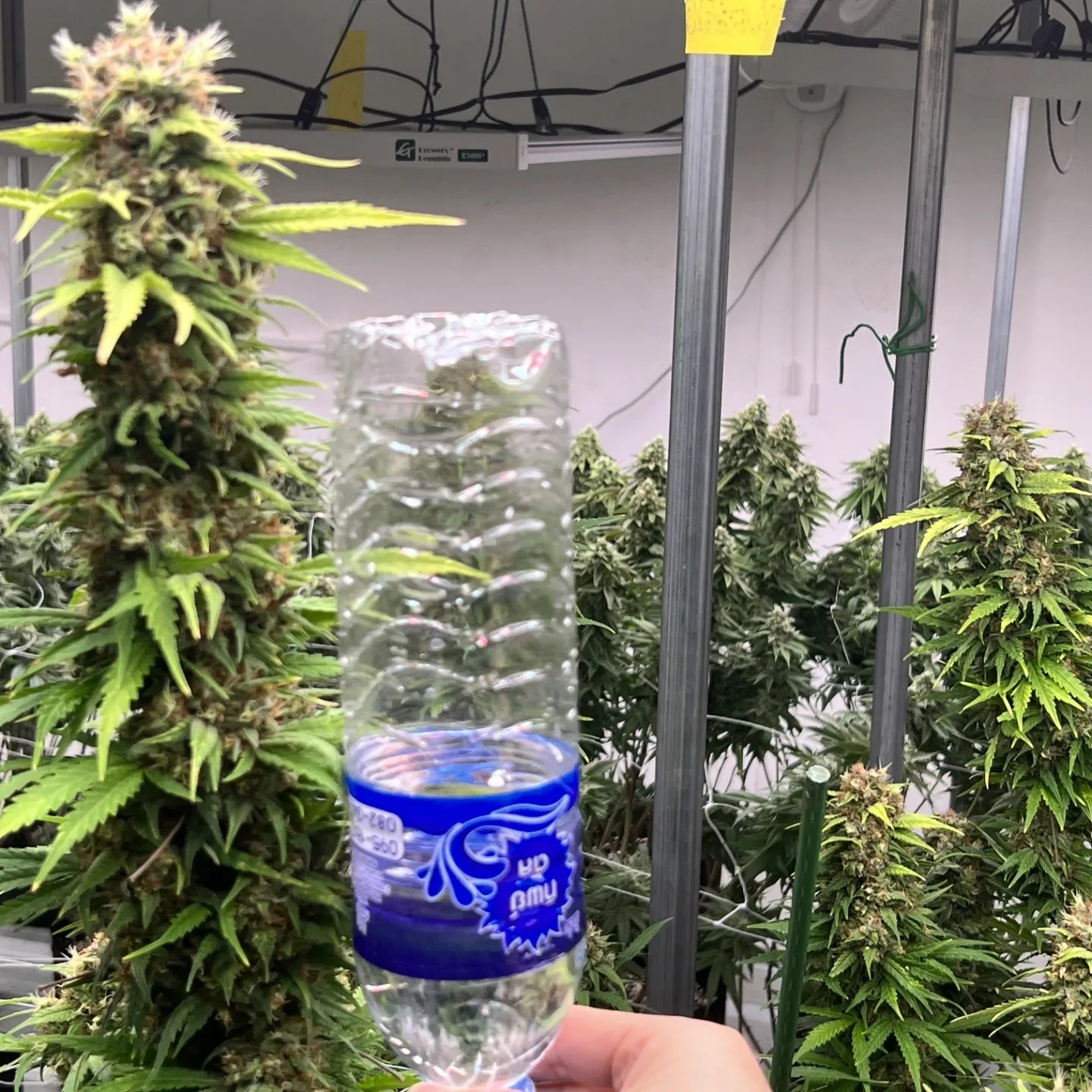 Growers Republic 780W UV IR Full Spectrum LED Grow Lights For Indoor Plants