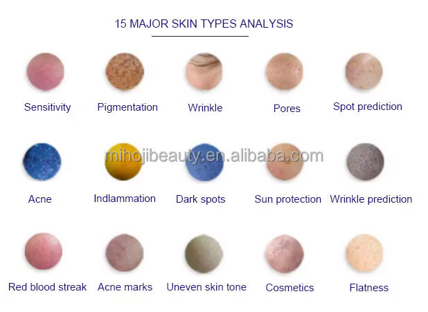 JP Plugs Type Skin Analyser Machine Desktop High Precision With Blue Light