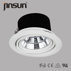  40W High Lumen 360 Degree Rotatable Of 40W High Power CITIZEN Chip COB LED Downlight Manufactures