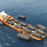 Buy cheap STD Rubber Pneumatic Fenders For Ships Truck Tyre Net Marine Dock Fender from wholesalers