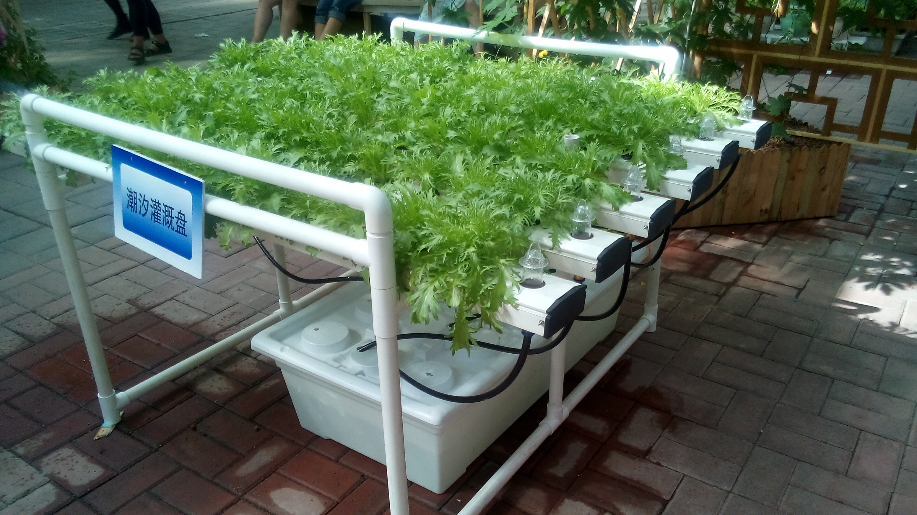 NFT DFT Garden Vertical Hydroponic Grow Tower System Agricultural