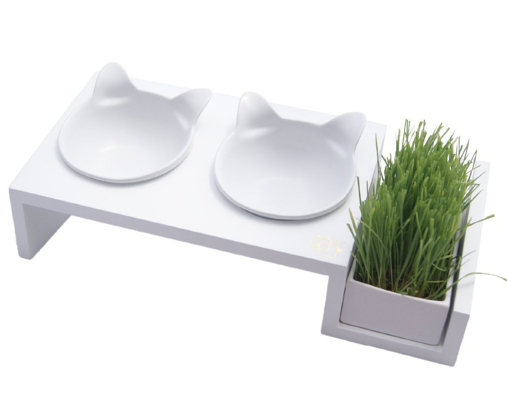 Sustainable Customized Ceramic Double Cat Bowl Multifunctional