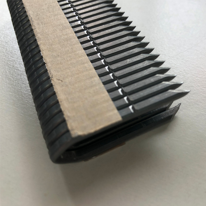 33mm Barbed Fencing Staples 10.5 Gauge Hot Dip Galvanised Divergent Point