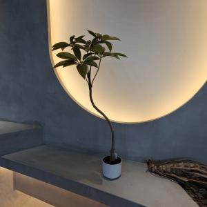 Transform Your Business with 110cm Artificial schefflera tree from Top Suppliers