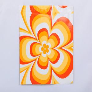 Custom Plastic Poly Mailer Bags Biodegradable 10x15cm To 80x100cm Sizes