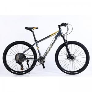  Manufacture 12 Speed Gears Mountain Bike with Double Wall Rim and Classic Design Manufactures