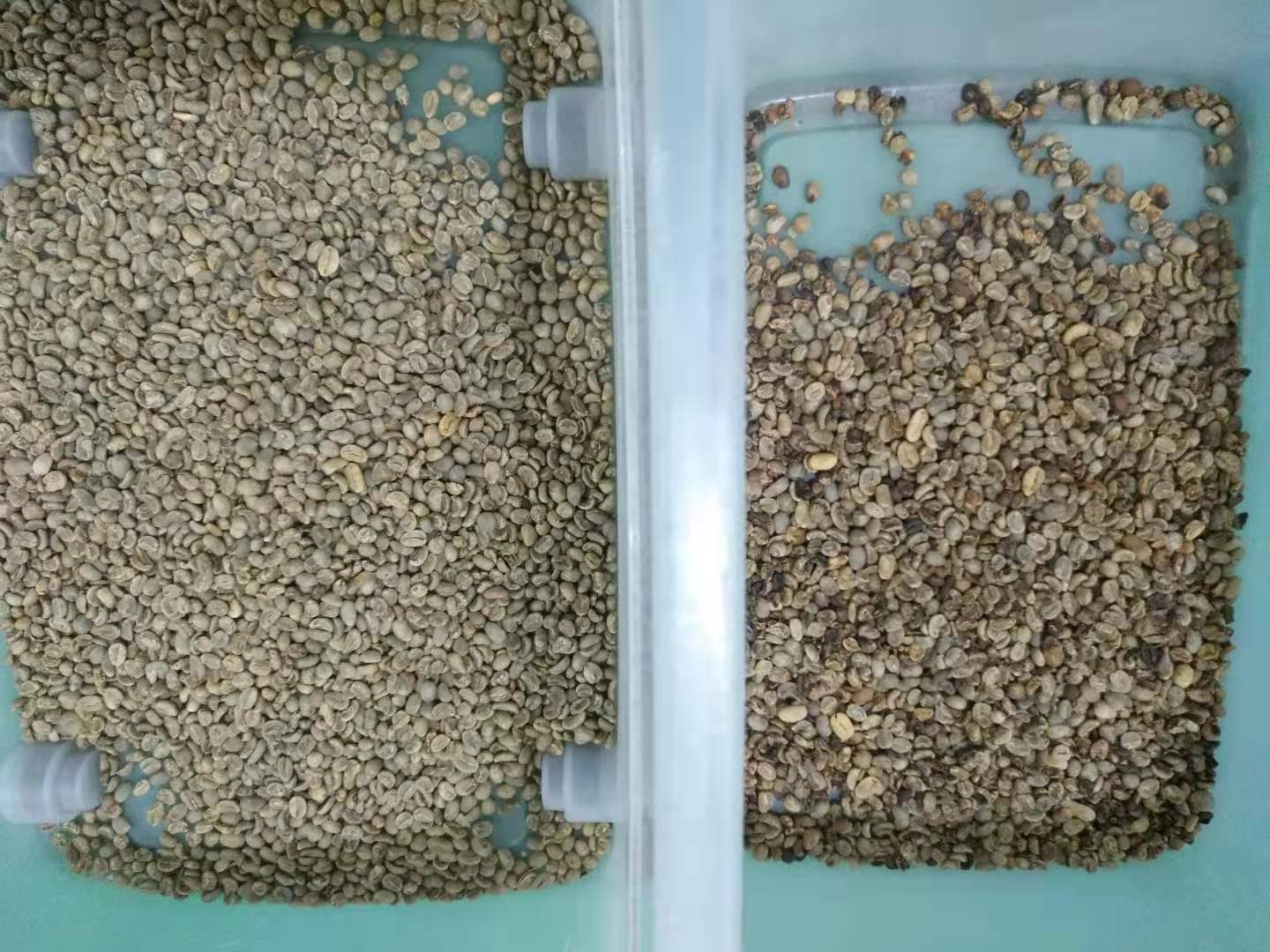 4 Chutes 256 Channels Coffee Bean Color Sorter High Capacity