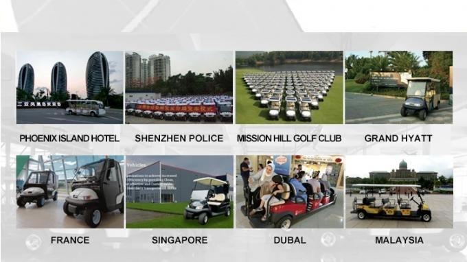 CE Approved Custom Color Golf Car with 48V 3.7kw Curtis Controller Chinese Factory 8