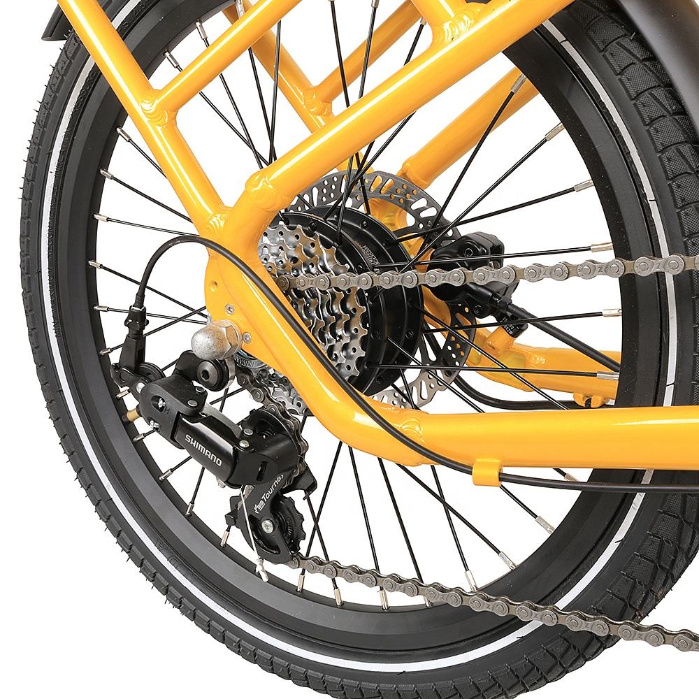 20 Inch Retro Dual 250W Electric Cargo Bike 7 Speed 36V 7.8Ah Lithium Battery